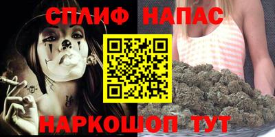 spice Обь