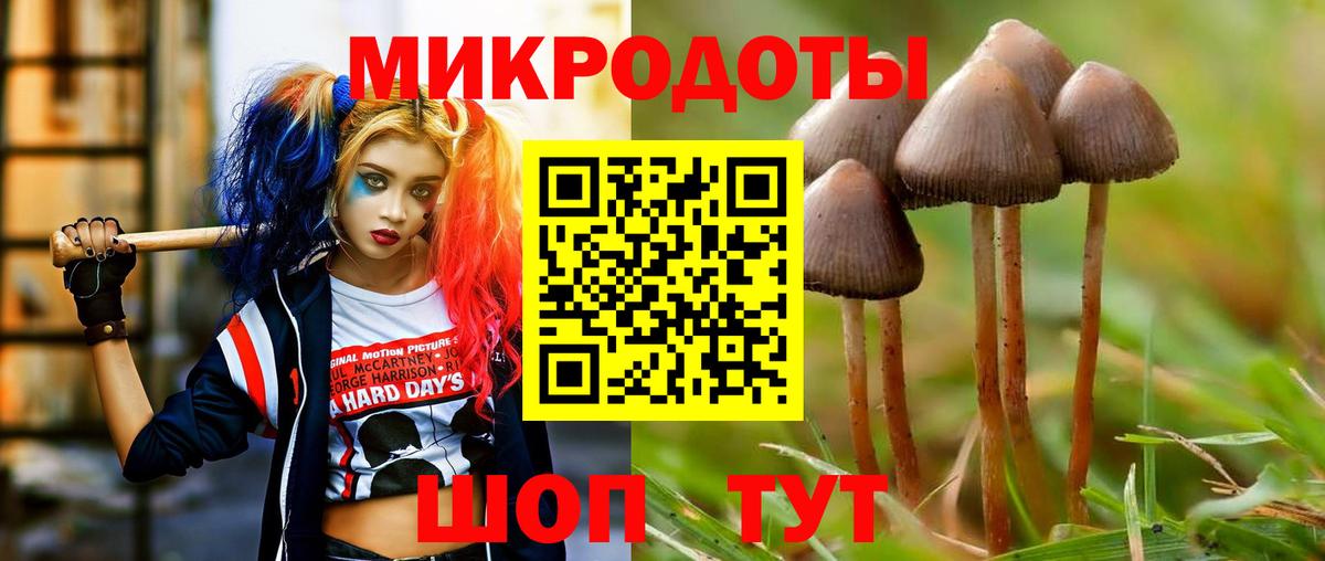 Псилоцибиновые грибы Psilocybine cubensis  Вход с VPN  где найти   Сафоново 